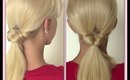 Super Easy Ponytail | Everyday Ponytail | Easy Hairstyle For Long Hair