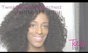 Twist Out on Stretched/Dry Hair l TotalDivaRea