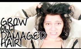 Tips for Growing Out Damaged Hair | Instant Beauty ♡