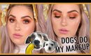 MY DOGS PICK MY MAKEUP!! 🐶🐼 Makeup Challenge 💕
