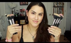 Beauty Junkees Pro Powder and Duo Fiber Brush Sets Review