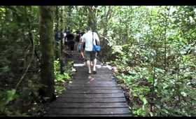 Palawan trip