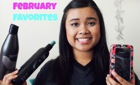 February Favorites