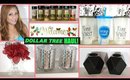 DOLLAR TREE HAUL! CUTE New Items Summer 2018