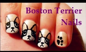 Boston Terrier Nails