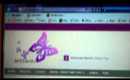Video 2.MP4