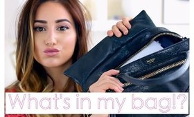 What's in my bag 2015 | Botkier bag
