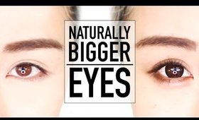 Beginners Bigger Eyes Drugstore Makeup Tutorial ♥ Perfect for Hooded Eyes & Asian Eyes ♥ Wengie