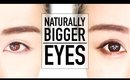 Beginners Bigger Eyes Drugstore Makeup Tutorial ♥ Perfect for Hooded Eyes & Asian Eyes ♥ Wengie