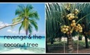 VLOG REVENGE AND THE COCONUT TREE TOLD BY MARLENE-AYMONE