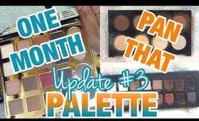 FINALLY I HIT SOME PANS! | Pan That Palette X 2 Update 3 + One Month One Palette for January 2018