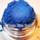 Deep Blue Reef Eyeshadow Pigment