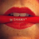 Shany Cosmetics Brush!