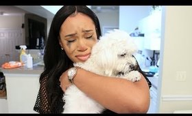 DOG RAN AWAY PRANK (SHE CRIES & GETS VIOLENT)