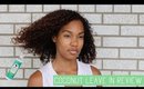 Camille Rose Naturals Coconut Water Leave In Conditioner Review ◌ alishainc