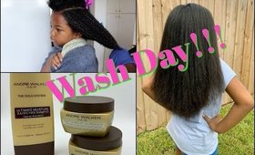 Natural Hair Wash Day w/Andre Walker Gold System