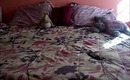 Room Tour!