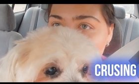 MY NEEDY POODLE | CAR VLOOT 2
