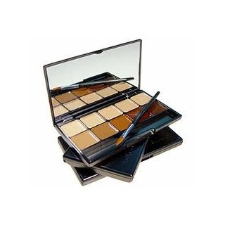 Three Custom Color Specialists  Professional Concealer Palette