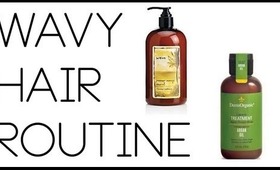 Favorite Hair Products: My Current Hair Routine