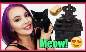 Making Tiny Sandwiches For My Cats! (Using A Mini Oven!)