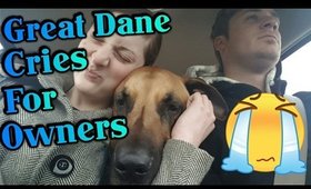 Puppy makes strange noise when owners leave!?