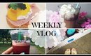 Weekly Vlog: DIY Starbucks Frappuccino & The Hottest Day of the Year