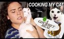 COOKING MY CAT A GOURMET MEAL | AYYDUBS