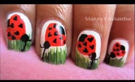 Cute Heart Shaped Ladybird :)