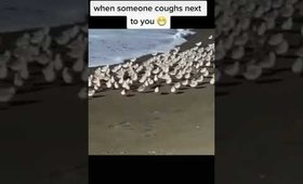 When Someone Cough Next To You