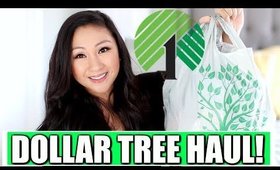 DOLLAR TREE HAUL!  AMAZING NEW FINDS!
