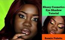 Summer Rainbow Eyeshadow Tutorial | Shany Cosmetics