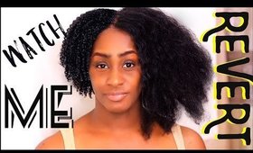 Natural Hair Straight To Curly | Watch Me Revert Routine! | Shlinda1