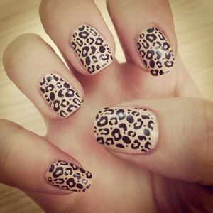 Leopard