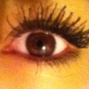 Eye lashes