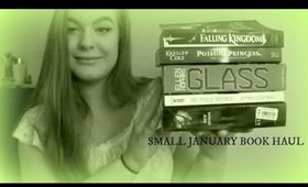 Small January Book Haul