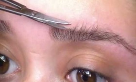 Eye Brow Tutorial (On a Budget)