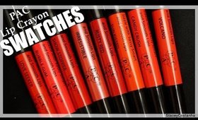 PAC Lip Crayon SWATCHES and First Impressions (All 8 Shades)