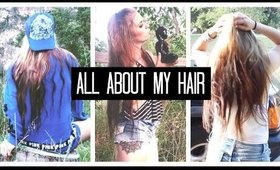 All About My Hair | Length, Trims, Etc. | Your Questions Answered!