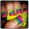 {Neon Zebra Rainbow}