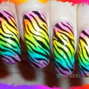 zebra rainbow