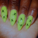 Spider Nails!