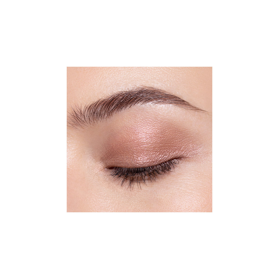 Chantecaille Luminescent Eye Shade Zebra | Beautylish