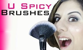 32 Pc Affordable U Spicy Brush Review | Demo