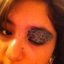 cheetah eye