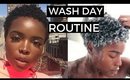 4C Wash Day Routine + Review | Luster's Pink Shea Butter and Coconut Oil Collection