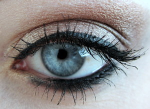 This is just a simple eye look that I did using only L'Oreal Infallible Eyeshadow. They're amazing!