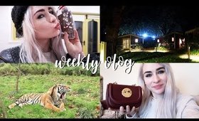 WE STAYED OVERNIGHT IN A ZOO | Weekly Vlog #27