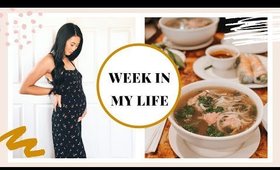 WEEK IN MY LIFE | Trader Joe's Haul, nursery & baby updates