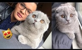 I GOT A CAT?! Meet Velour 😻